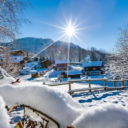Chalet Arcadia 6 *